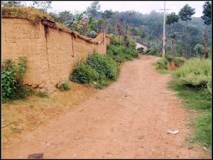 新和新村 新和新村