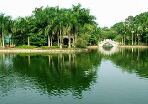 好山好水的錦蓋山