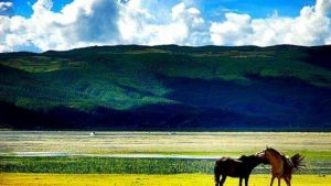 拉市海安中馬場 拉市海安中馬場