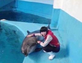 逗海豚溺亡 逗海豚溺亡