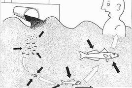 貓舞蹈症 貓舞蹈症