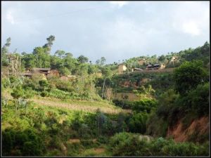 小阿助村 小阿助村