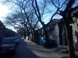 東四五條 東四五條