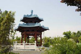 安亭公園 安亭公園