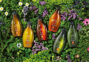 頭皮好，頭髮才好