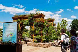 美國國家植物園 美國國家植物園