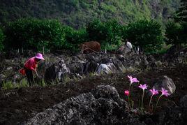 精神脫貧 精神脫貧
