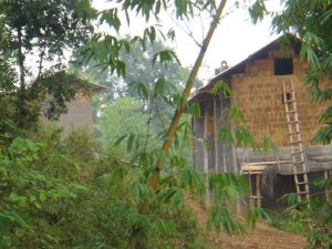 新加坡自然村 新加坡自然村