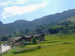 老華寨自然村 老華寨自然村