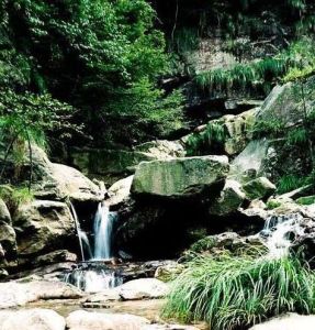 九嶺山森林公園