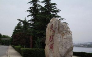 天鵝湖國家城市濕地公園 天鵝湖國家城市濕地公園