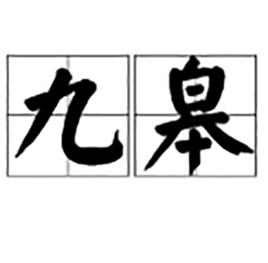 九皋 九皋