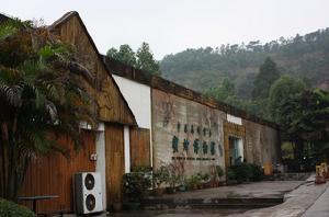 （圖）蜜蜂博物館