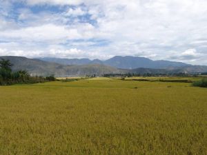 長樂自然村 長樂自然村