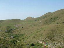 十二火灶頂的高山草原風光