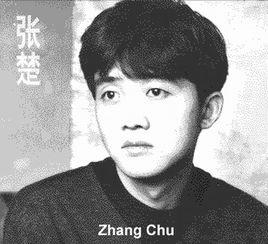 蒼蠅[張楚演唱歌曲]