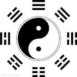 陰陽八卦圖 陰陽八卦圖