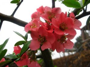 花果山生態景區 花果山生態景區