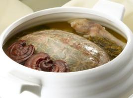 靈芝水魚 靈芝水魚