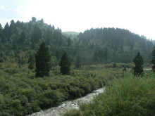 松鳴岩國家森林公園