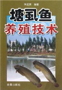 塘虱魚養殖技術 塘虱魚養殖技術