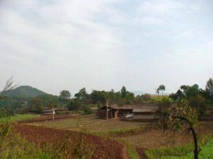 閘塘大田村 閘塘大田村