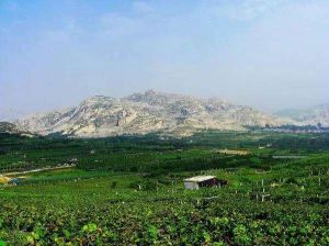 大青山[山東萊西市大青山森林公園] 