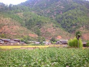 新龍溝村 新龍溝村