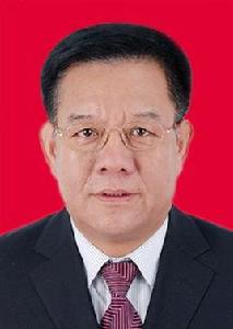 王曉平[隴南市人大常委會副主任、黨組成員]