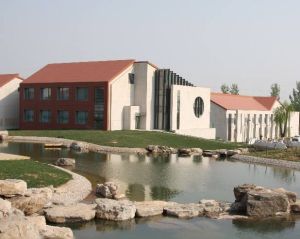 廟城地區 廟城地區