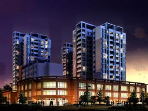 雲嶺桂園 雲嶺桂園