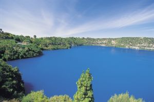 格拉夫頓 格拉夫頓