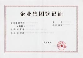 企業集團 企業集團