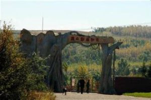 雞西動植物園 雞西動植物園