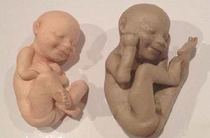 3D列印胎兒 3D列印胎兒