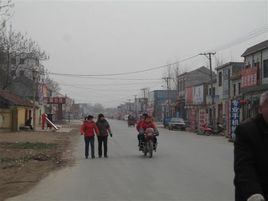 焦莊西村 焦莊西村