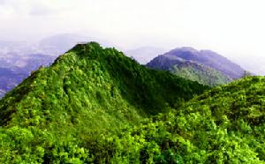 無量山自然保護區