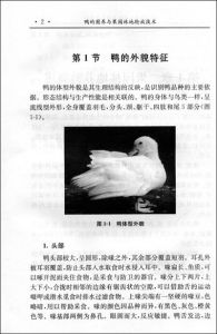 《鴨的圈養與果園林地輪放技術》 《鴨的圈養與果園林地輪放技術》