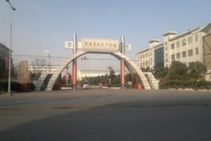 河南銀鴿實業投資股份有限公司