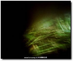 （圖）貓咪攝影師