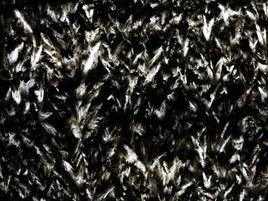 義大利炫彩 義大利炫彩