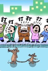 老鼠過街 老鼠過街