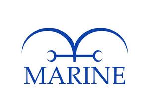 海軍（MARINE）