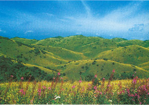 大陸性季風氣候