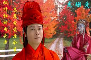 龍治天下 龍治天下