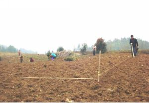 九根樹村 九根樹村