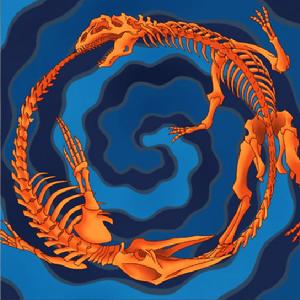 化石融合(TF系列高清大圖)