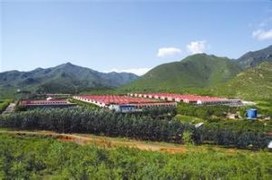 畜牧良種場 畜牧良種場