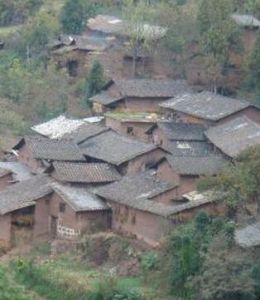 白龍樹自然村 白龍樹自然村