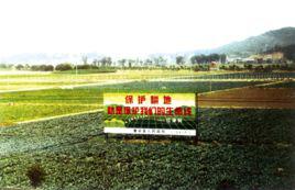 耕地保護 耕地保護